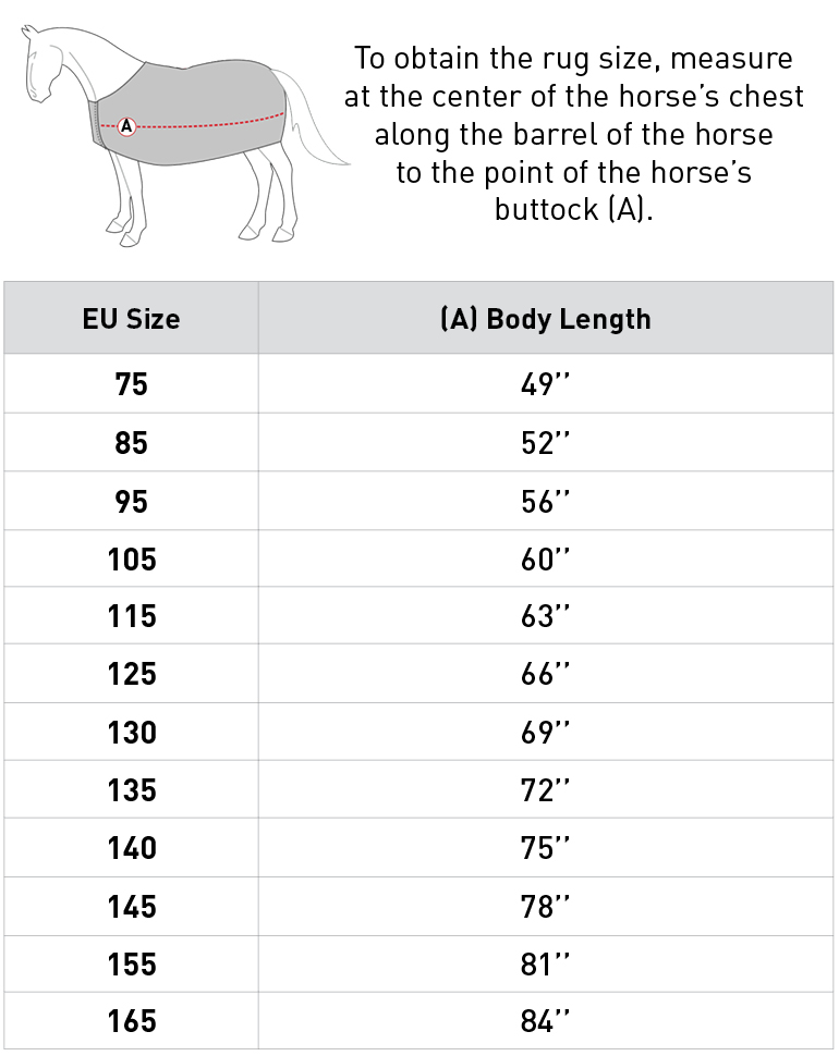 Size Chart Image